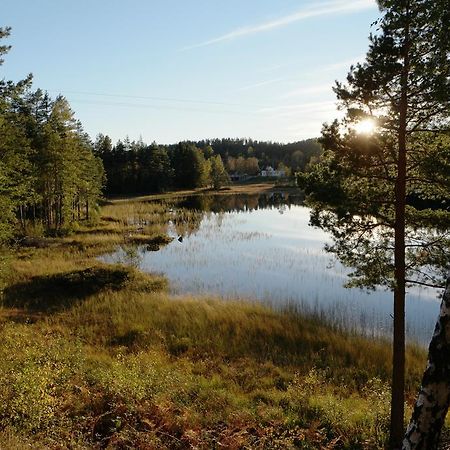 Bjorkeskogen Appartamento Mjavatn Esterno foto