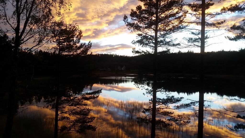 Bjorkeskogen Appartamento Mjavatn Esterno foto