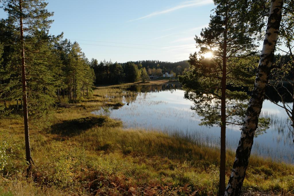 Bjorkeskogen Appartamento Mjavatn Esterno foto