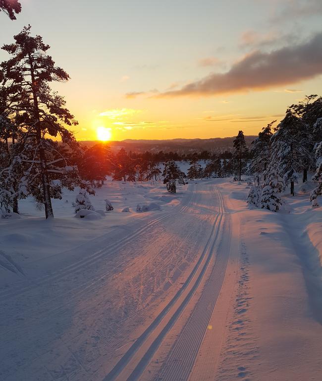 Bjorkeskogen Appartamento Mjavatn Esterno foto